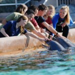 SeaWorld® San Diego's Animal Spotlight Tour