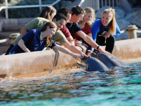 SeaWorld® San Diego's Animal Spotlight Tour