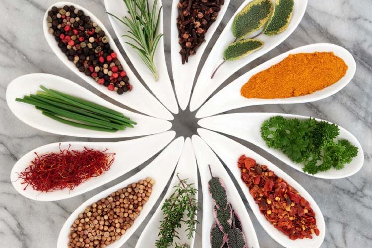 Making Herb Gardens at Home