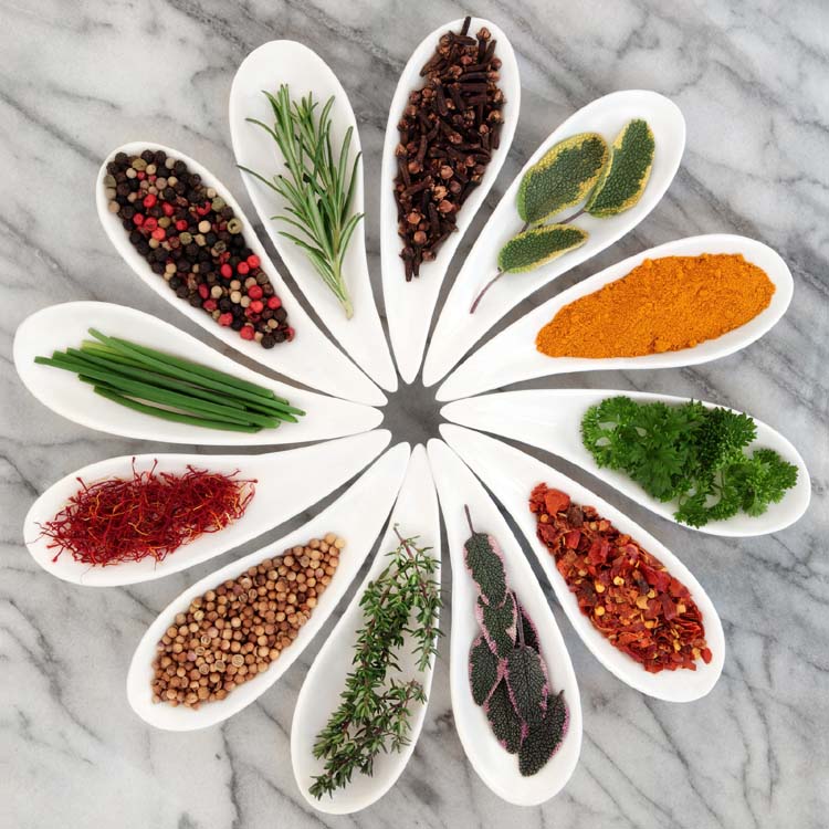 Making Herb Gardens at Home
