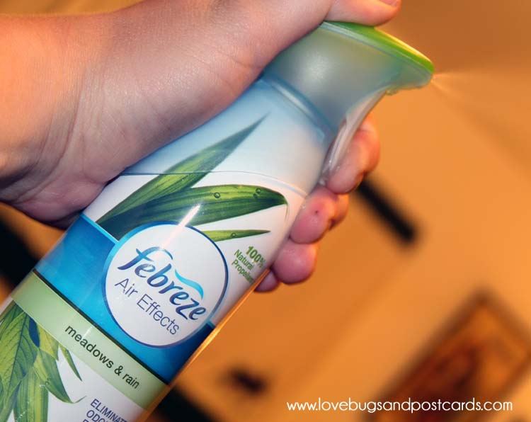 Our “Noseblind Test” and Febreze Review