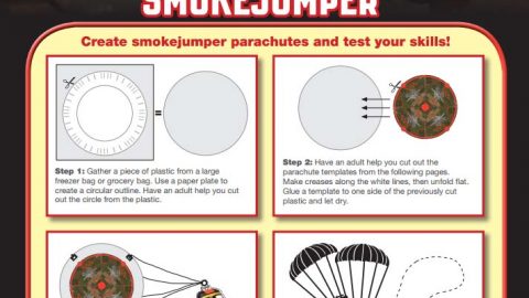 Planes Fire and Rescue Birthday Party SmokeJumper Game {Free Printable}