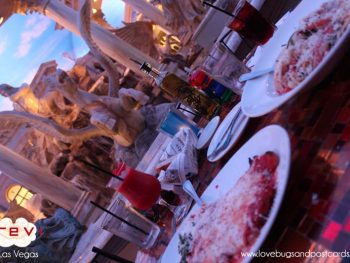 TREVI's Italian Restaurant Review