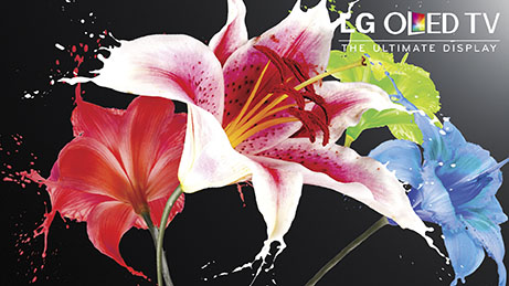 I want the LG OLED TV from @BestBuy #HintingSeason