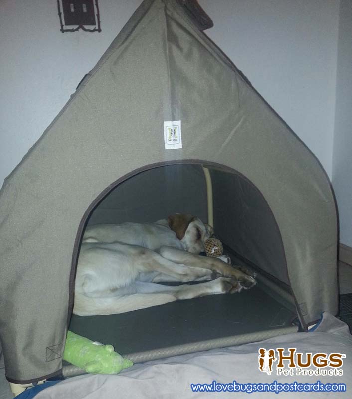 Hugs Pet Products - Gifts for Pets