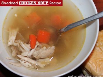 Shredded Chicken Soup Recipe