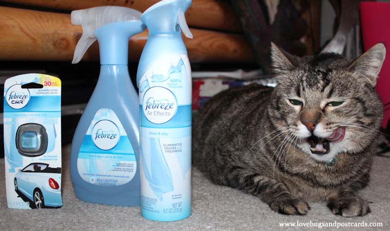 Febreze Products help eliminate pet odors