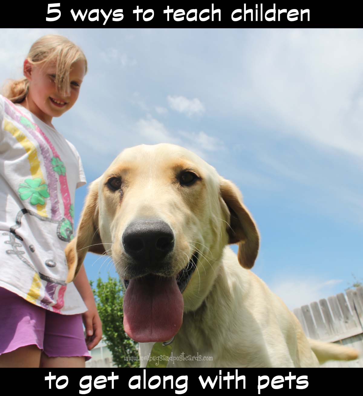 5 ways to teach children to get along with pets
