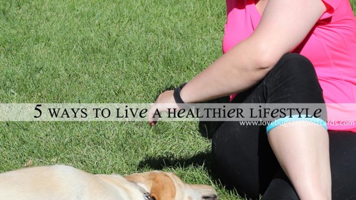 5 ways to live a healthier lifestyle