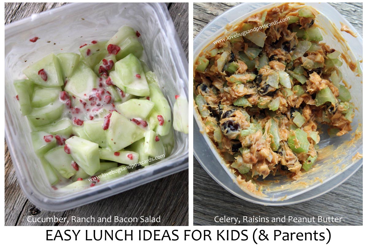 5 Essentials for your kids lunchbox
