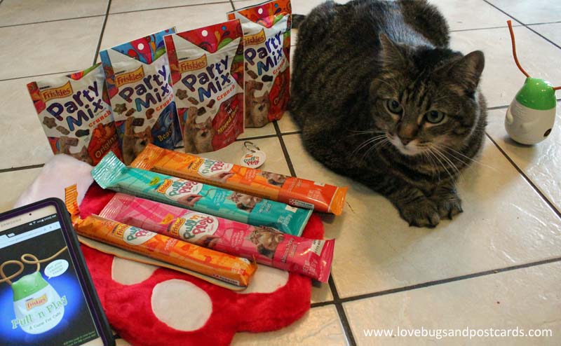 Best Gifts for your Cat + Friskies Giveaway
