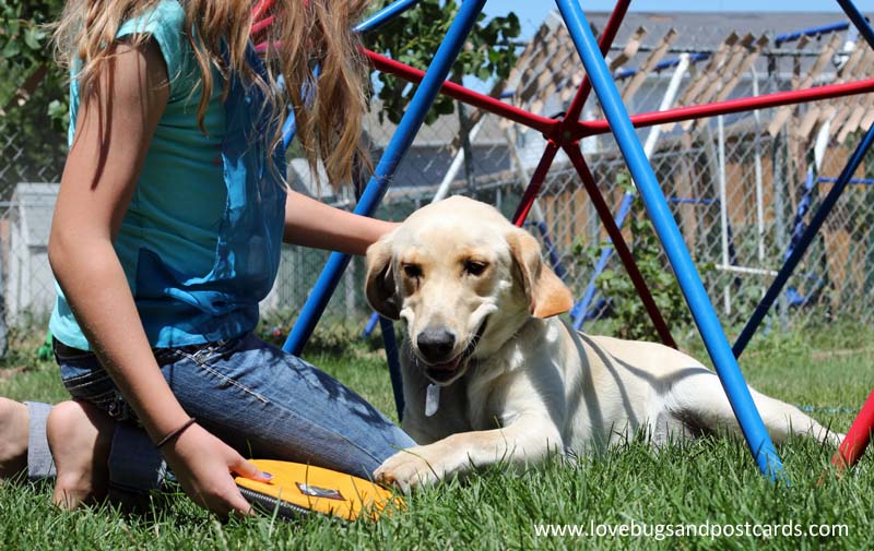 PetSmart Charities National Adoption Weekend Nov. 13-15, 2015 #AdoptLove