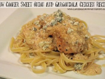 Slow Cooker Sweet Onion and Gargonzola Chicken Recipe