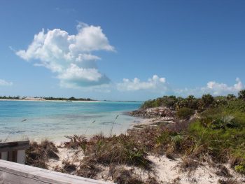 Little Water Cay (Iguana Island) - Turks & Caicos Providenciales