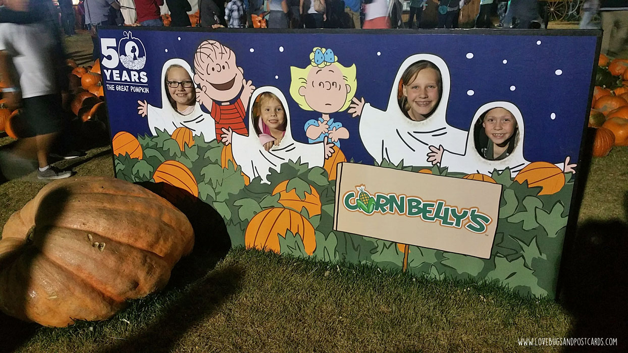 Cornbelly's Corn Maze at Thanksgiving Point