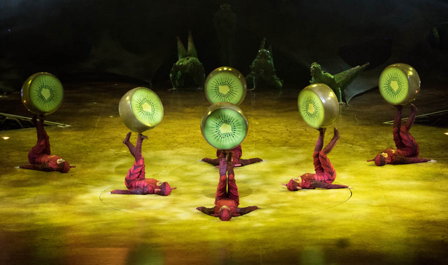 Cirque du Soleil OVO