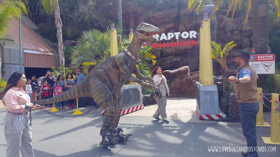 Your ultimate guide to Universal Studios Hollywood 2018