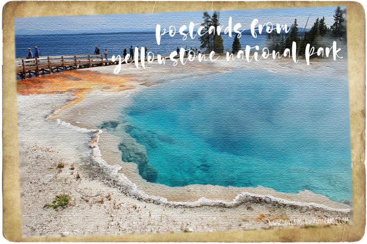 West Thumb Geyser Basin in Yellowstone National Park