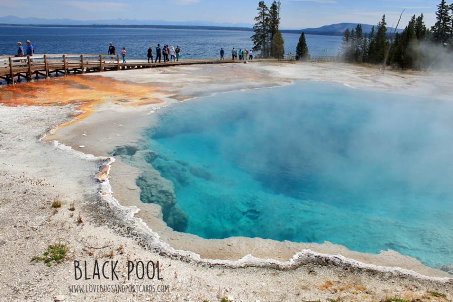 West Thumb Geyser Basin in Yellowstone National Park