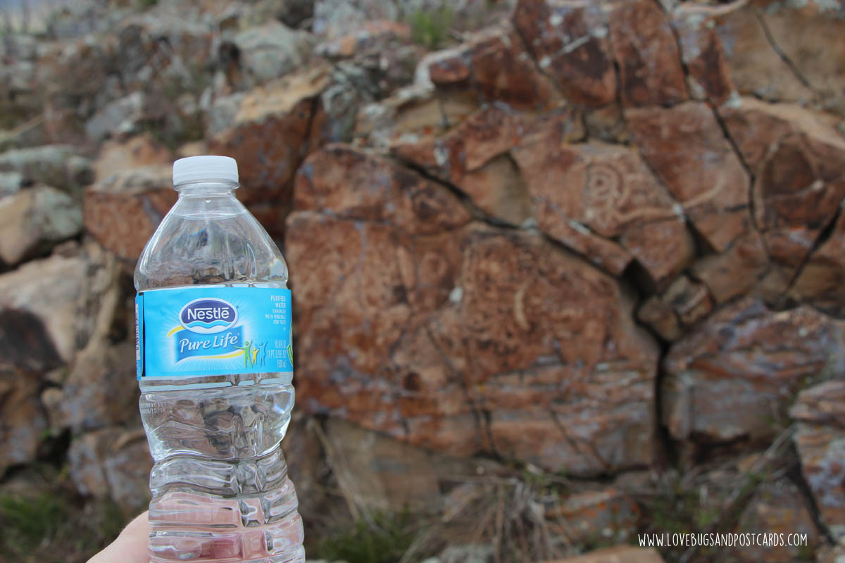 5 tips for a fun family hike