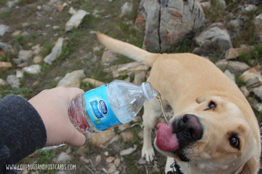 5 tips for a fun family hike