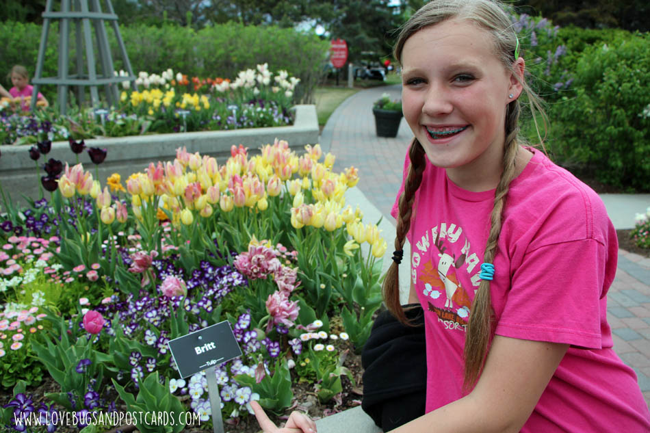Tulip Festival at Thanksgiving Point 2017