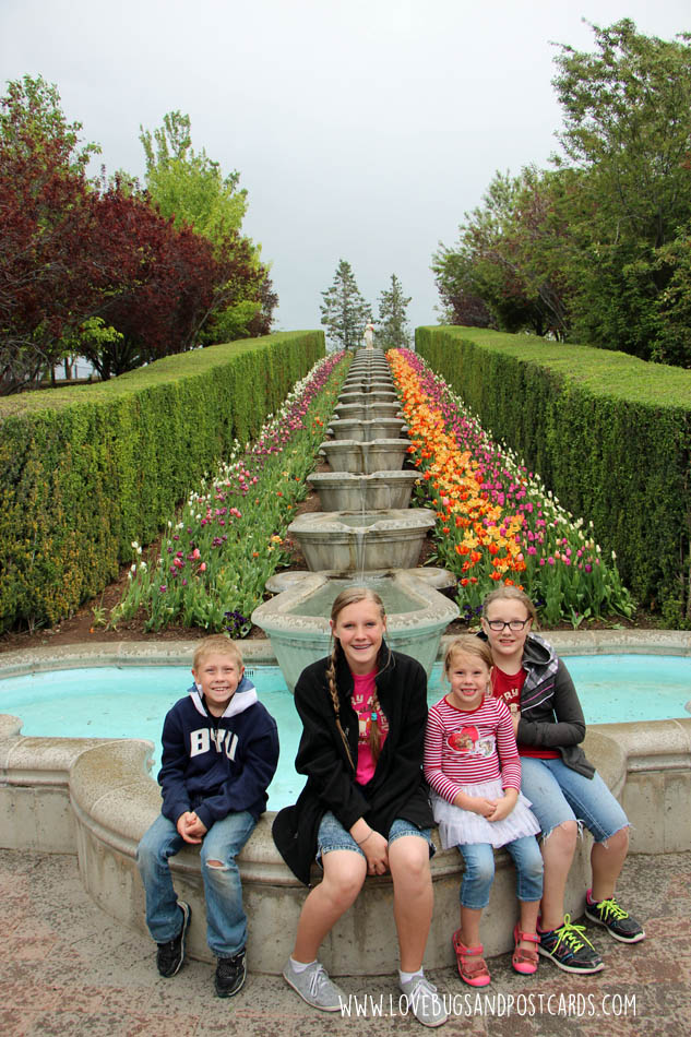 Tulip Festival at Thanksgiving Point 2017