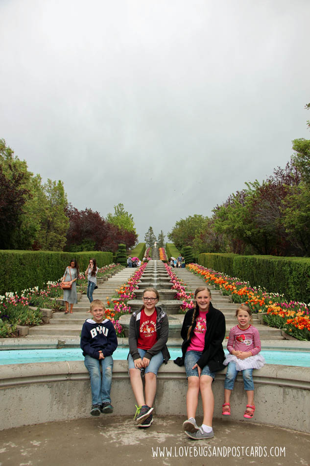 Tulip Festival at Thanksgiving Point 2017