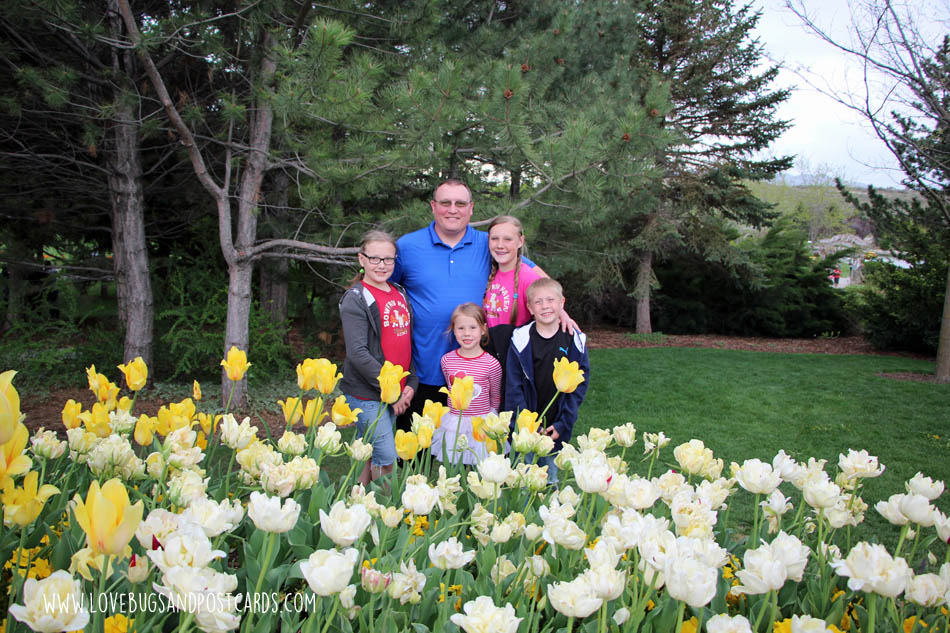 Tulip Festival at Thanksgiving Point 2017