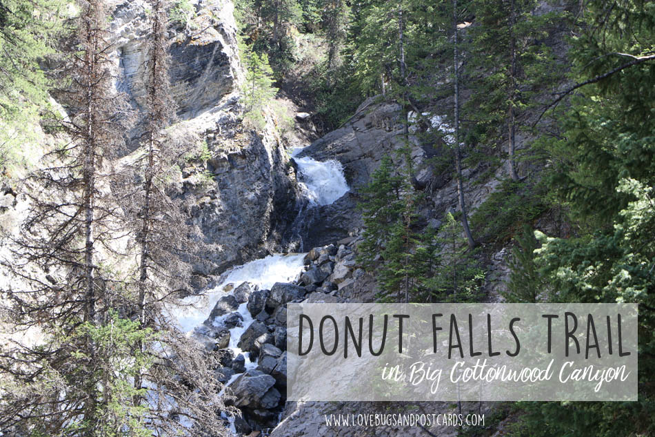 Donut Falls Trail