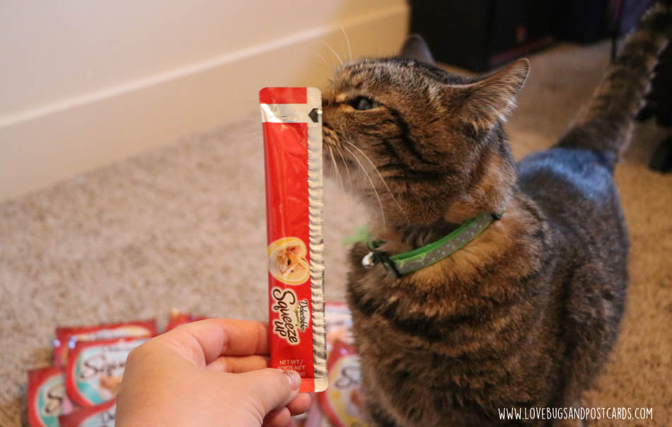 Hartz Delectables SqueezeUp Treats