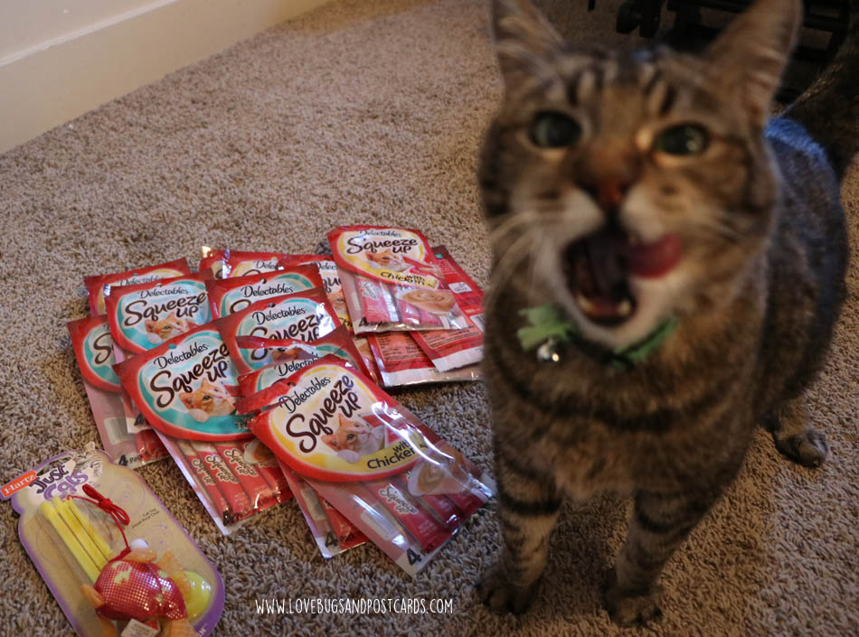 Hartz Delectables SqueezeUp Treats
