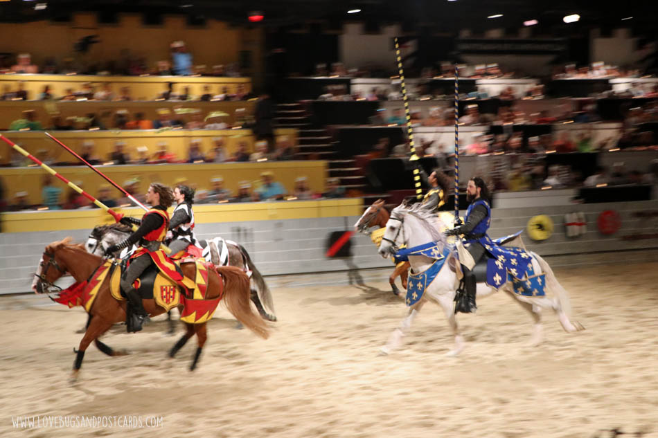 Medieval Times Dinner & Tournament in Orlando, Florida