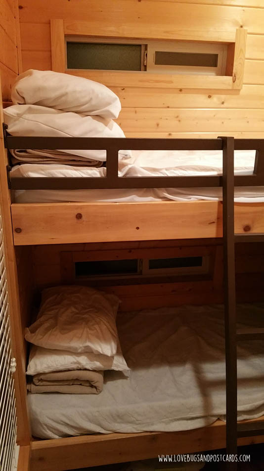 Verde Valley RV & Camping Resort in Arizona
