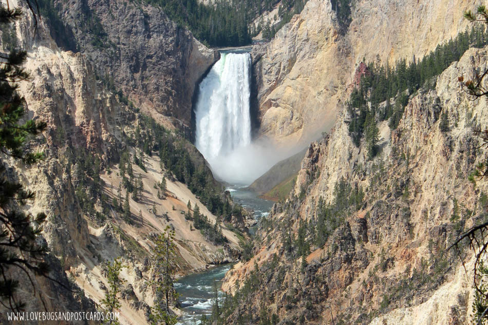 Grand Canyon of the Yellowstone - Yellowstone National Park