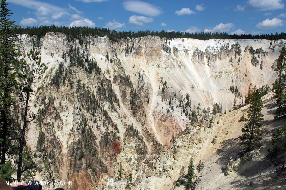 Grand Canyon of the Yellowstone - Yellowstone National Park