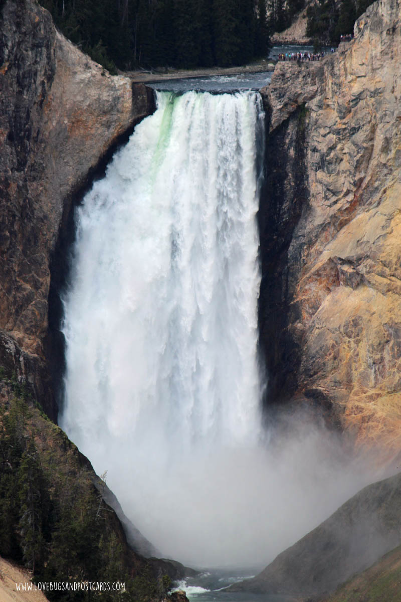 Grand Canyon of the Yellowstone - Yellowstone National Park