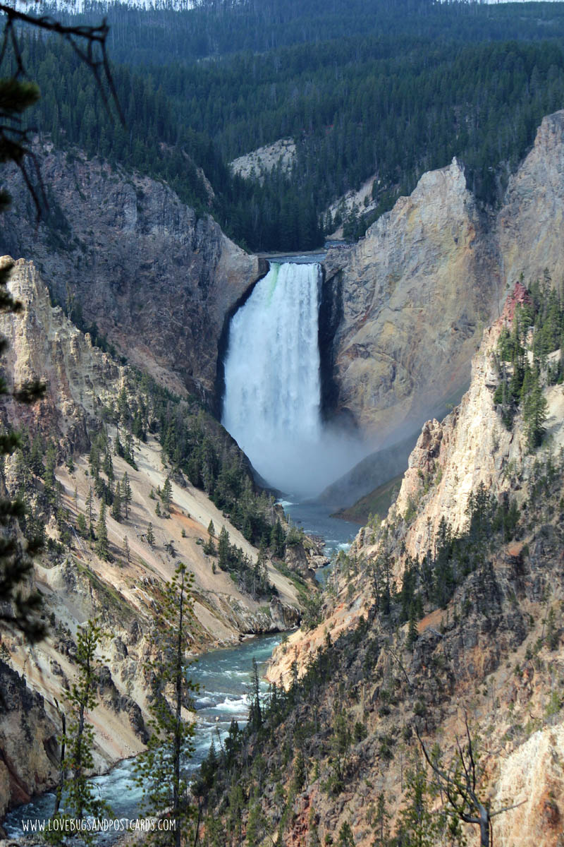 Grand Canyon of the Yellowstone - Yellowstone National Park