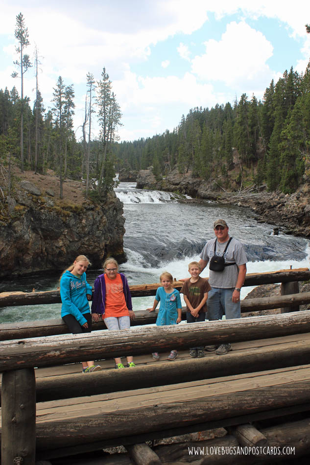 Grand Canyon of the Yellowstone - Yellowstone National Park