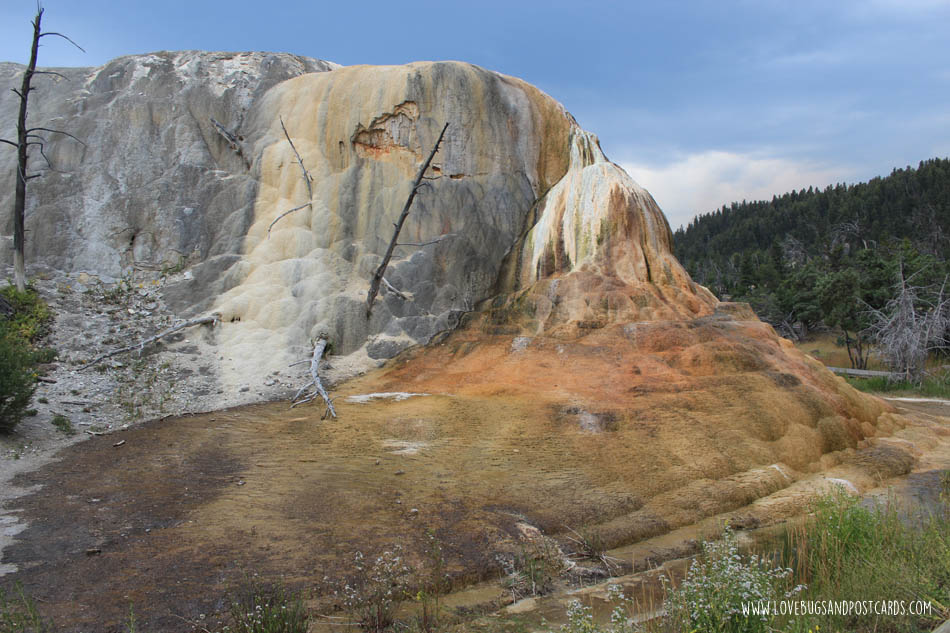 Mammoth Hot Springs Yellowstone National Park