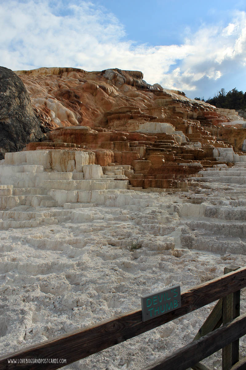 Mammoth Hot Springs Yellowstone National Park