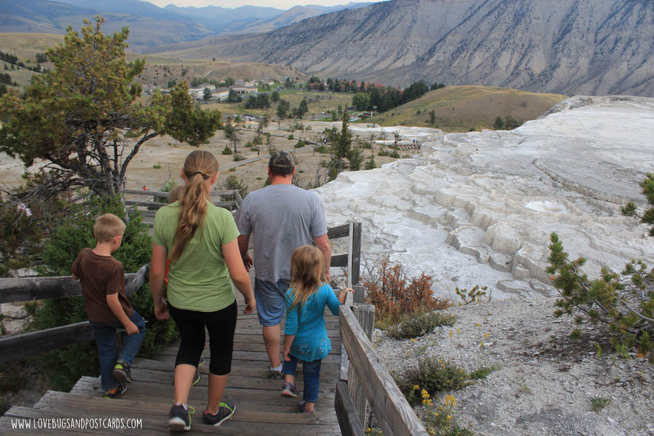 Mammoth Hot Springs Yellowstone National Park