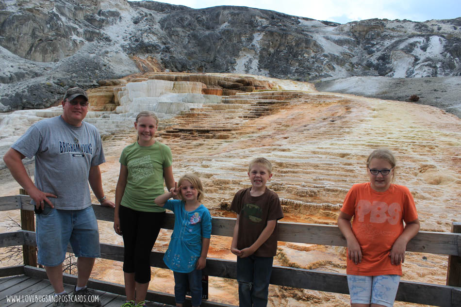 Mammoth Hot Springs Yellowstone National Park