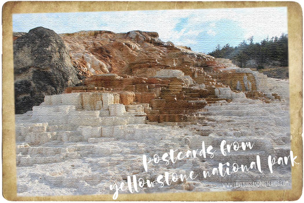 Mammoth Hot Springs Yellowstone National Park