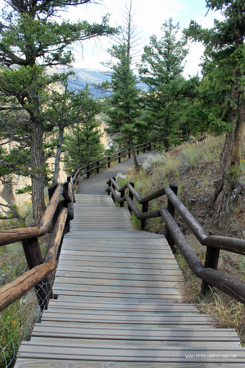 Tower Falls & Calcite Springs - Yellowstone National Park