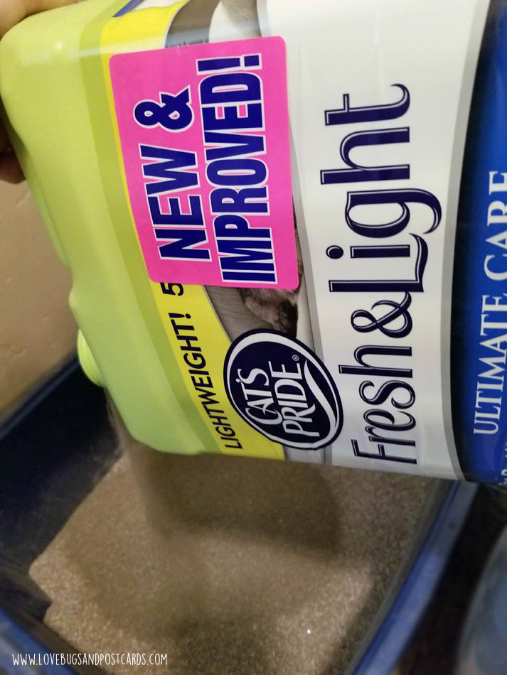 How I help cats just like mine, every time I buy Cat’s Pride® Fresh & Light® litter