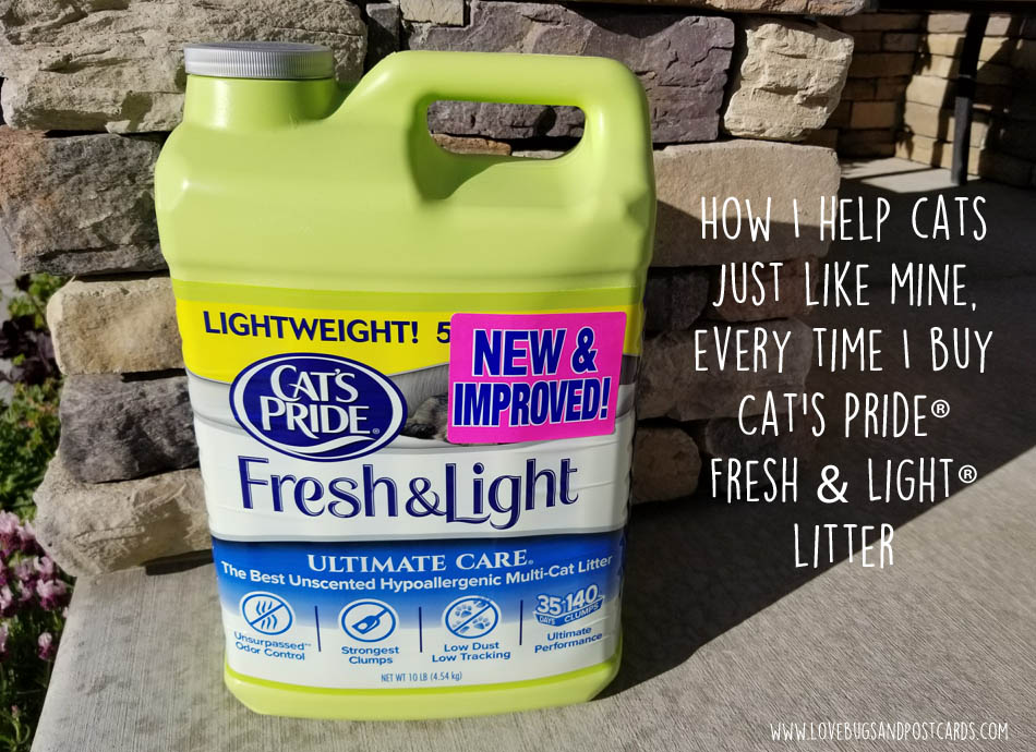 How I help cats just like mine, every time I buy Cat’s Pride® Fresh & Light® litter