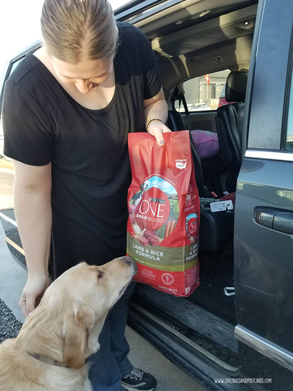 Purina ONE 28-Day Challenge with Jake