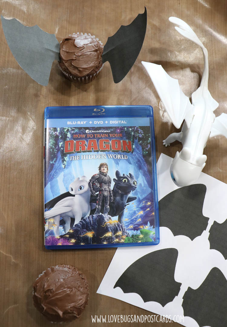 How To Train Your Dragon movie night