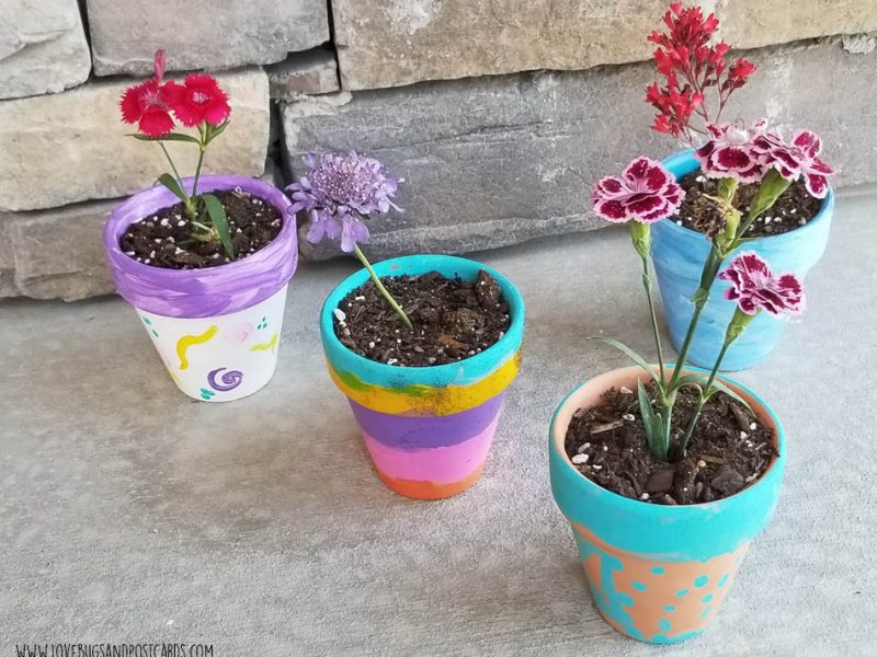 flower Planters